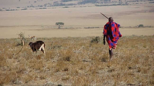 Maasai_man,_Eastern_Serengeti,_October_2006