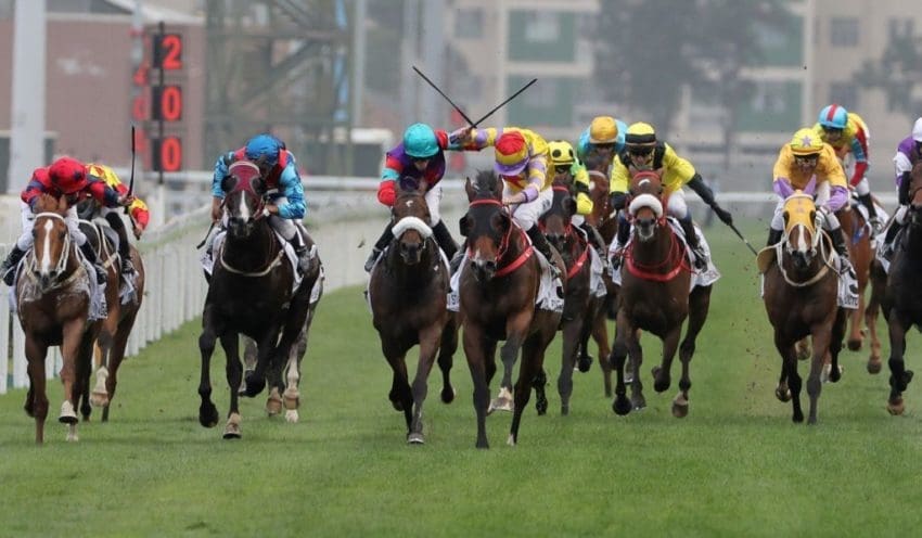 technology in horse racing