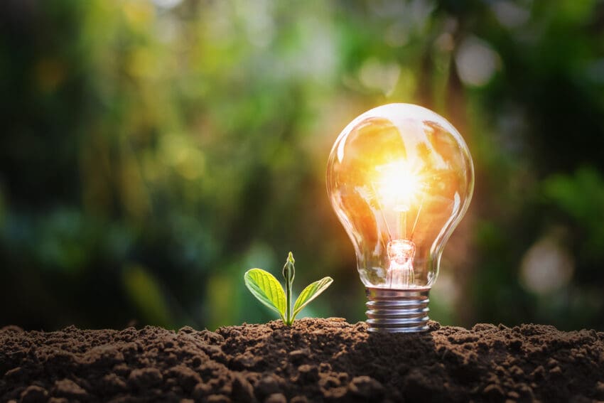 Lightbulb,With,Small,Plant,On,Soil,And,Sunshine.,Concept,Saving