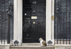 Rumour has it that Rachel Reeves is limbering up for November with a Budget that will make the taxman’s quill squeak like a stuck pig. Property, pensions, profits, pasties — all grist to the Exchequer’s mill.