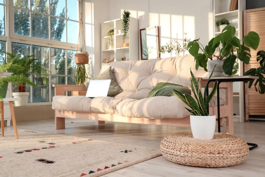 There’s something about green gifts that never goes out of style. Maybe it’s because plants feel more personal than a box of chocolates, or maybe it’s the calm they bring into any space. Whatever the reason, plants have quietly become one of the most consistent sellers in the gifting world.