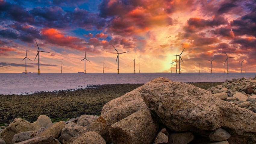 The Crown Estate has handed the Treasury less than half of what it returned a year ago, after the extraordinary offshore wind windfall that powered two years of record earnings began to wash out of its accounts.
