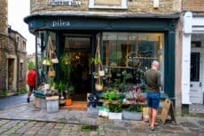 Just one in six of Britain's small businesses expects to grow over the next 12 months, the lowest proportion since records began in 2014, while nearly one in three anticipate shrinking, selling up or closing their doors for good.